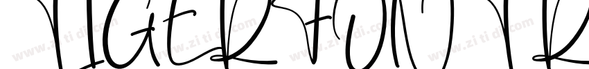 TIGERFONT Regular字体转换